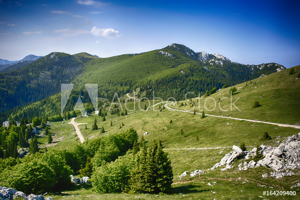 AdobeStock_164209400_Preview